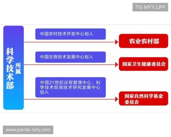 体育活动管理正由重资产转向订阅服务模式 激活了中小型机构的制播潜力