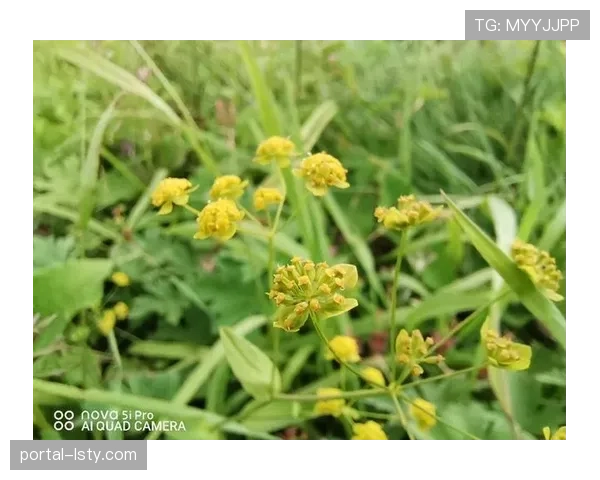 镜头捕捉：朗斯主帅海瑟在边线不断用手势提醒弟子切换防守模式